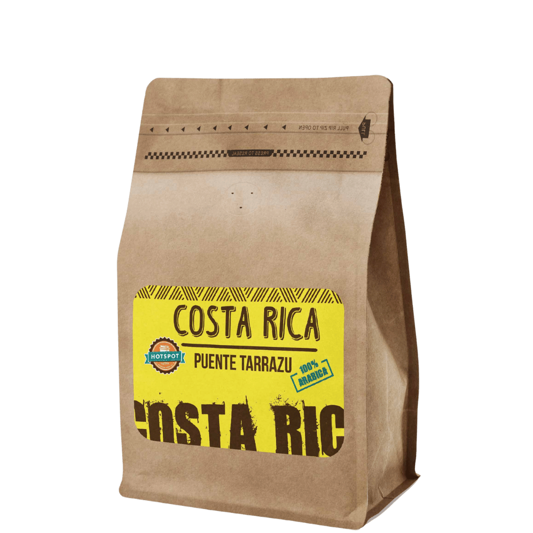 COSTA RICA PUENTE TARRAZU photo 1