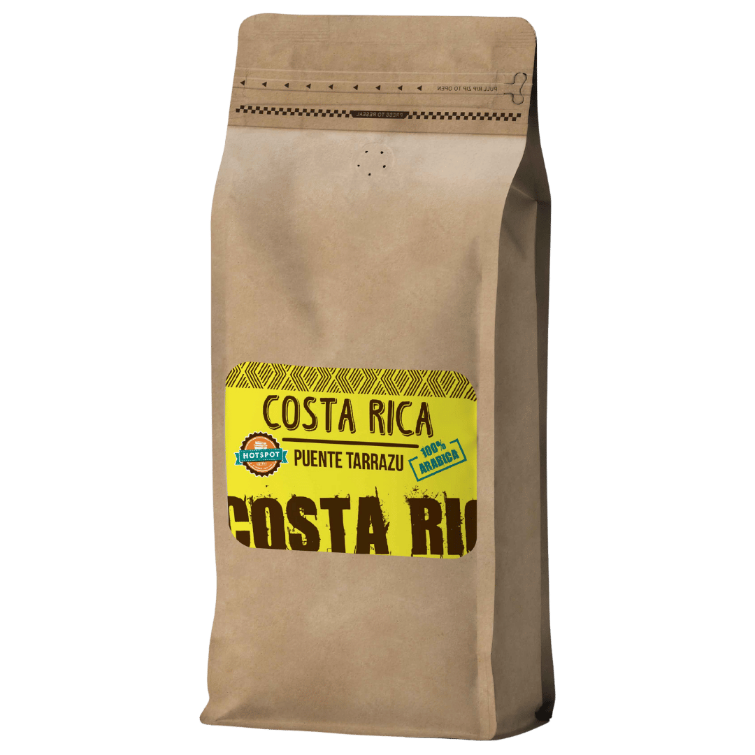 COSTA RICA PUENTE TARRAZU photo 1