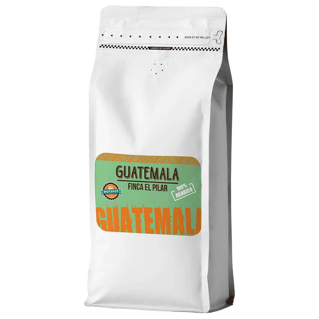 GUATEMALA ANTIGUA FINCA EL PILAR VERDE photo 1